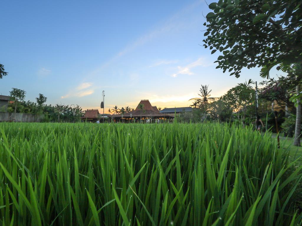 Alaya Resort Ubud Dış mekan fotoğraf